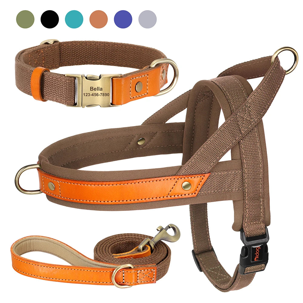 No-Pull Hunde-Geschirr Set aus Nylon & PU-Leder – Gepolstertes Harness mit Halsband & Leine für kleine, mittlere & große Hunde