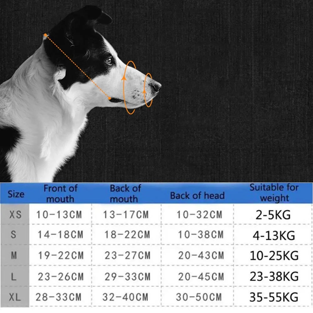 Ceinture en cuir blanc pour chiens de grande et moyenne taille – Verstellbarer Anti-Bellen, Beißen &amp; Kauen Maulschutz für Training &amp; Alltag 