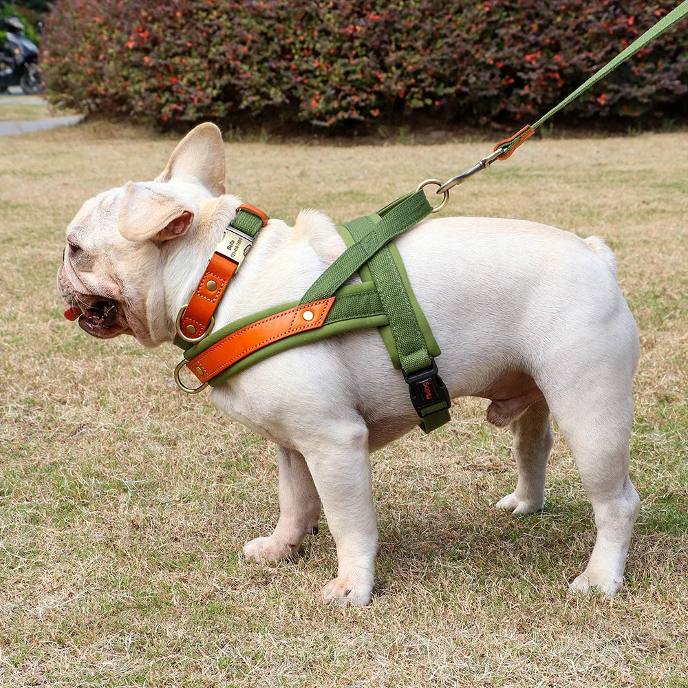No-Pull Hunde-Geschirr Set aus Nylon & PU-Leder – Gepolstertes Harness mit Halsband & Leine für kleine, mittlere & große Hunde