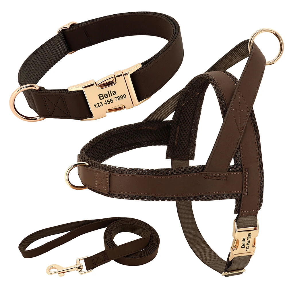 Personalisierbares Leder Hundehalsband, Geschirr & Leine Set – Gepolstertes Mesh Hundegeschirr mit Namensgravur für kleine, mittlere & große Hunde
