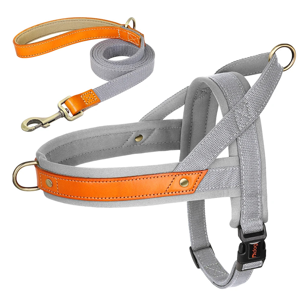 No-Pull Hunde-Geschirr Set aus Nylon & PU-Leder – Gepolstertes Harness mit Halsband & Leine für kleine, mittlere & große Hunde