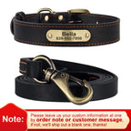 Personalisierbares Leder-Halsband & Leinen-Set für Hunde – Robustes Echtleder mit Gravur für kleine bis große Hunde