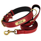 Customized Leder-Hundehalsband & Leinen-Set – Weiches, Gepolstertes Leder für Kleine, Mittelgroße und Große Hunde mit Kostenloser Gravur