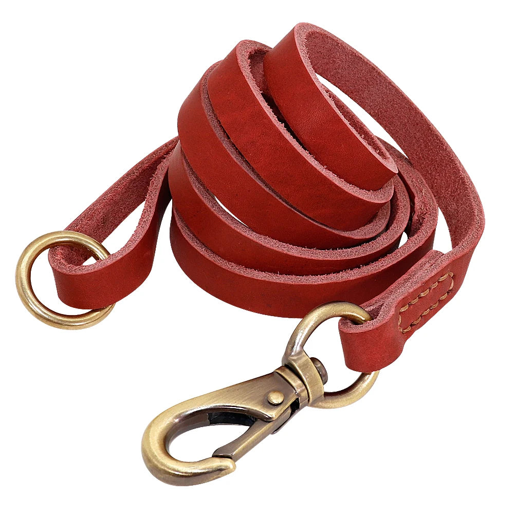 Personalisiertes Leder-Hundehalsband-Set mit Leine – Gravur inklusive für kleine, mittelgroße und große Hunde