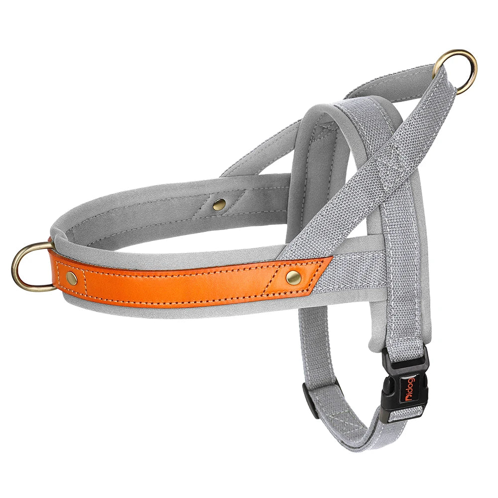 No-Pull Hunde-Geschirr Set aus Nylon & PU-Leder – Gepolstertes Harness mit Halsband & Leine für kleine, mittlere & große Hunde