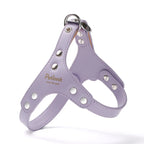 Premium Leder Hunde-Geschirr &amp; Leinen Set – Robustes Hundegeschirr mit verstärkten Nieten für kleine Hunde &amp; Welpen