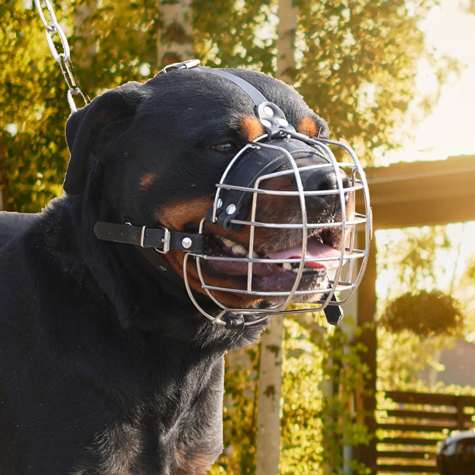 Robuster Drahtkorb-Hundemaulkorb mit PU-Leder-Riemen – Atmungsaktiver, sicherer Trainings-Maulkorb für mittelgroße & große Hunde