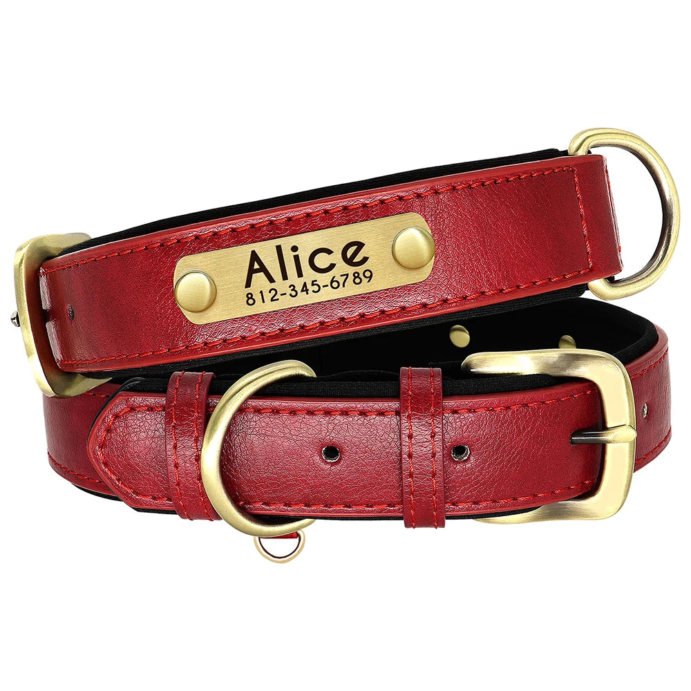 Customized Leder-Hundehalsband & Leinen-Set – Weiches, Gepolstertes Leder für Kleine, Mittelgroße und Große Hunde mit Kostenloser Gravur