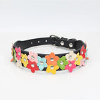 Buntes Blumen Hunde-Halsband aus Leder – Doppelreihiges Flower Pet Collar mit Schnalle für Welpen & kleine Hunde