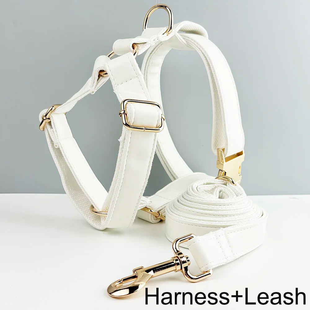 Weißes Leder-Halsband & Leinen-Set für Hunde – Personalisiert mit Gravurplatte