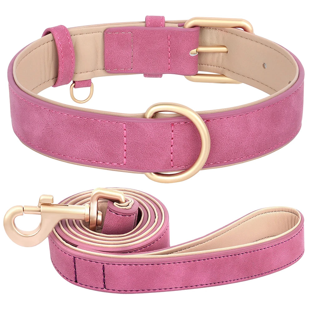 Weich gepolstertes Hunde-Halsband & Leinen Set aus PU Leder – Verstellbares Komfort-Set für kleine, mittlere & große Hunde
