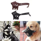 Ceinture en cuir blanc pour chiens de grande et moyenne taille – Verstellbarer Anti-Bellen, Beißen &amp; Kauen Maulschutz für Training &amp; Alltag 