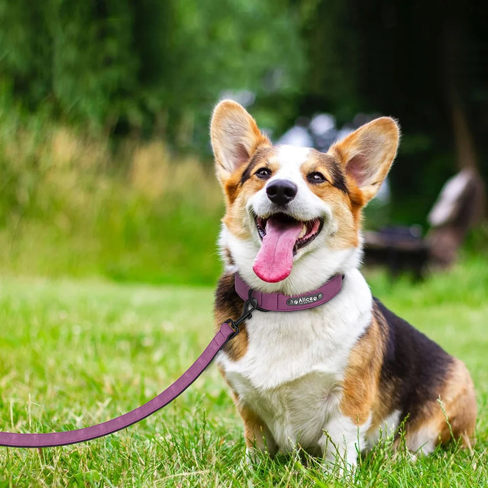 Hochwertiges personalisiertes Hundehalsband-Set aus PU-Leder – Gravur, Komfort & maximale Sicherheit