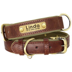 Customized Leder-Hundehalsband & Leinen-Set – Weiches, Gepolstertes Leder für Kleine, Mittelgroße und Große Hunde mit Kostenloser Gravur