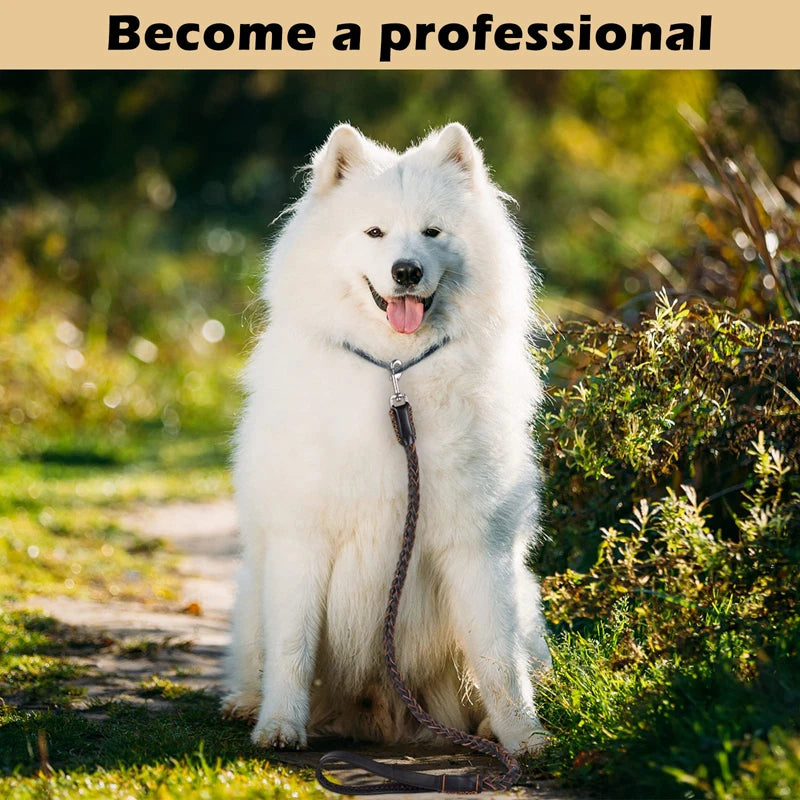 Benepaw Starke Leder Hundeleine aus Rindsleder – Handgefertigte, geflochtene Heavy-Duty Trainingsleine für mittelgroße & große Hunde