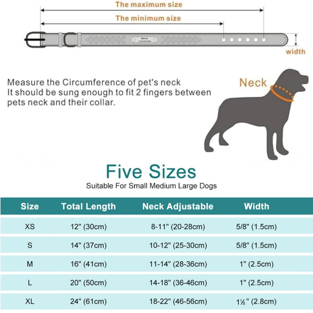 Graviertes Leder Hunde-Halsband mit Namensschild – Geflochtenes, personalisiertes ID-Halsband aus Leder für mittelgroße &amp; große Hunde 