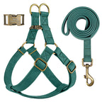 Cuir PU personnalisé pour chien avec chien – Graviertes ID-Schnallen-Geschirr et Vest-Set pour petits et petits chiens