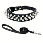 Stilvolles Leder Hunde-Set – Robustes Halsband, Harness & Leine für mittelgroße Hunde