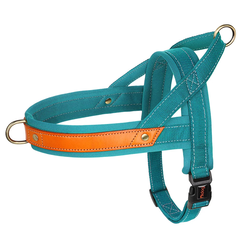 No-Pull Hunde-Geschirr Set aus Nylon & PU-Leder – Gepolstertes Harness mit Halsband & Leine für kleine, mittlere & große Hunde