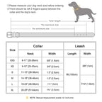 Personalisierbares Leder-Halsband & Leinen-Set für Hunde – Robustes Echtleder mit Gravur für kleine bis große Hunde