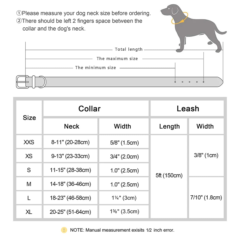 Personalisierbares Leder-Halsband & Leinen-Set für Hunde – Robustes Echtleder mit Gravur für kleine bis große Hunde