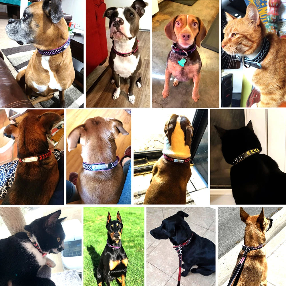 Personalisiertes PU Leder Hunde-Halsband – Geflochtenes, gepolstertes Halsband mit Gravur-Gravur für kleine, mittlere &amp; große Hunde 