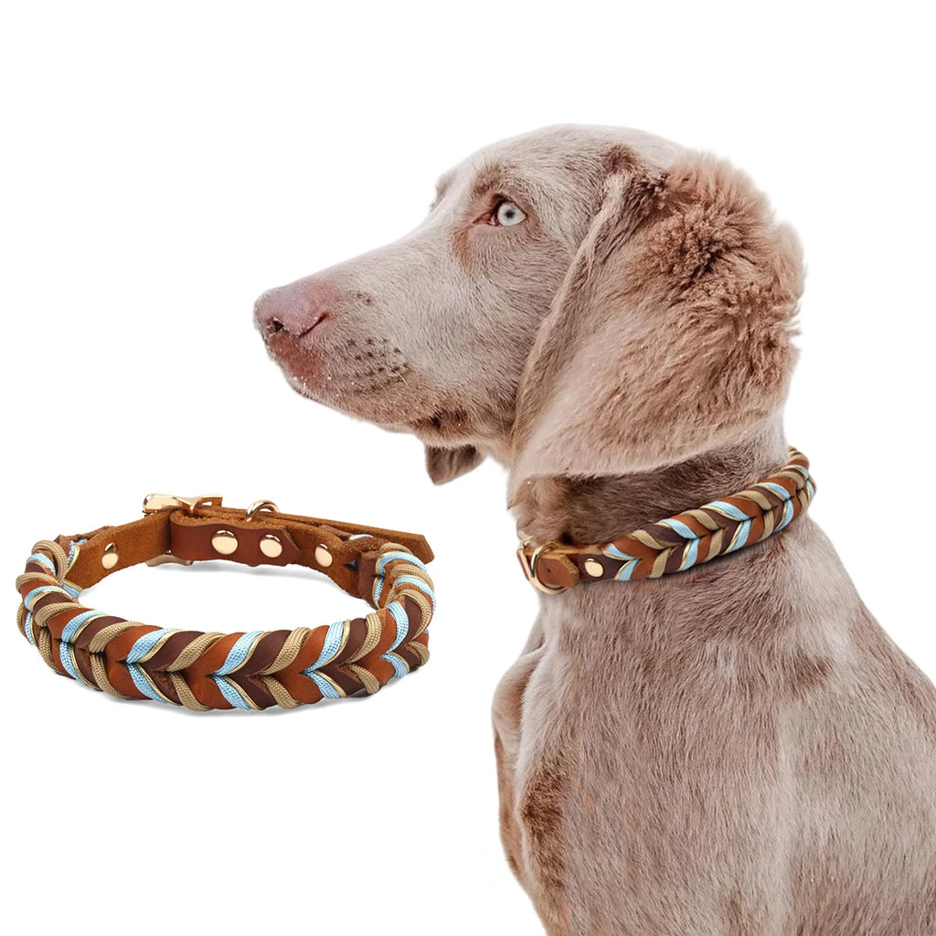 Braunes Hunde-Halsband aus Rindsleder – Geflochtenes Premium-Halsband mit himmelblauem Muster für kleine, mittlere &amp; große Hunde
