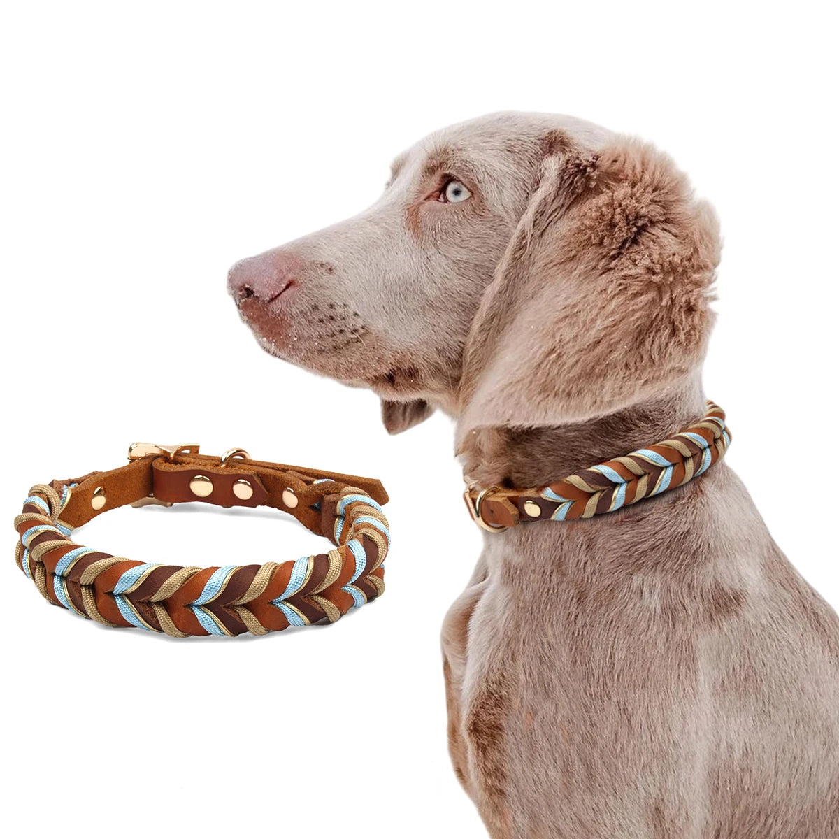 Braunes Hunde-Halsband aus Rindsleder – Geflochtenes Premium-Halsband mit himmelblauem Muster für kleine, mittlere & große Hunde