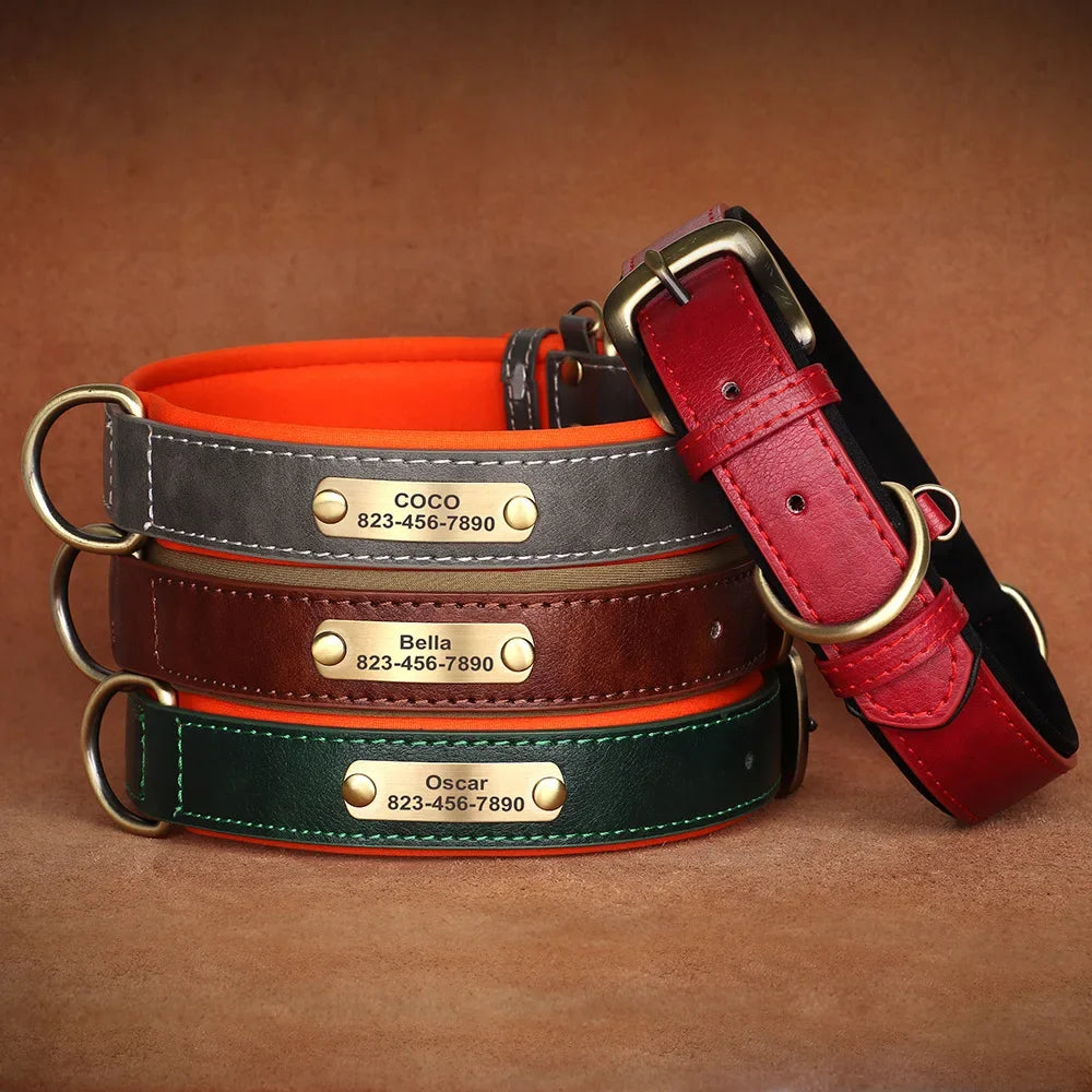 Personalisiertes Leder Hunde-Halsband mit Gravur – Weich gepolstert & verstellbar, inkl. kostenloser Namensplakette für kleine, mittlere & große Hunde