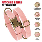 Verstellbares Hunde-Halsband & Leinen-Set aus PU-Leder – Weiches, langlebiges Hundehalsband mit Leine für kleine, mittlere & große Hunde