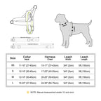 No-Pull Hunde-Geschirr Set aus Nylon & PU-Leder – Gepolstertes Harness mit Halsband & Leine für kleine, mittlere & große Hunde