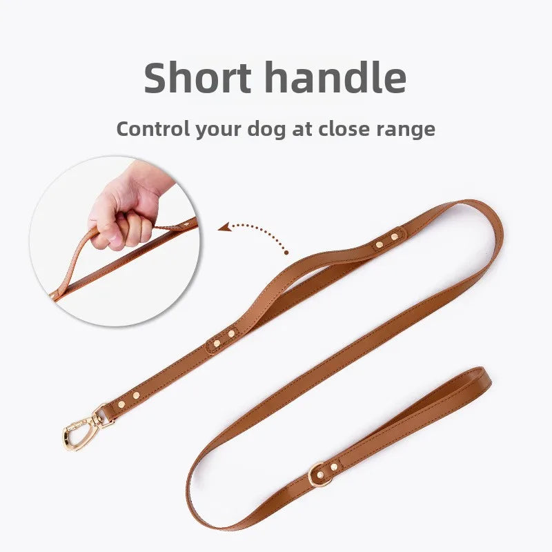 Wasserdichtes Leder Hundegeschirr mit Leine – Verstellbares Brustgeschirr-Set mit Schnellverschluss für kleine &amp; mittelgroße Hunde