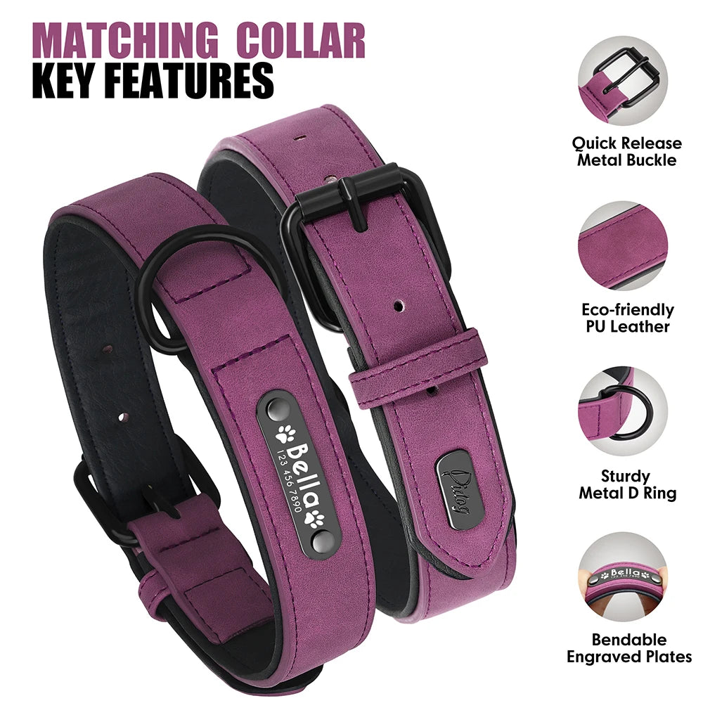 Hochwertiges personalisiertes Hundehalsband-Set aus PU-Leder – Gravur, Komfort & maximale Sicherheit