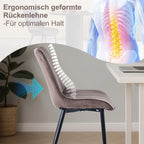 HOMAVO YZ1 Esszimmerstühle 2er-Set – Moderne Design-Stühle aus Samt oder PU-Leder mit Rückenlehne & Metallgestell für Küche, Wohn- & Arbeitsbereich