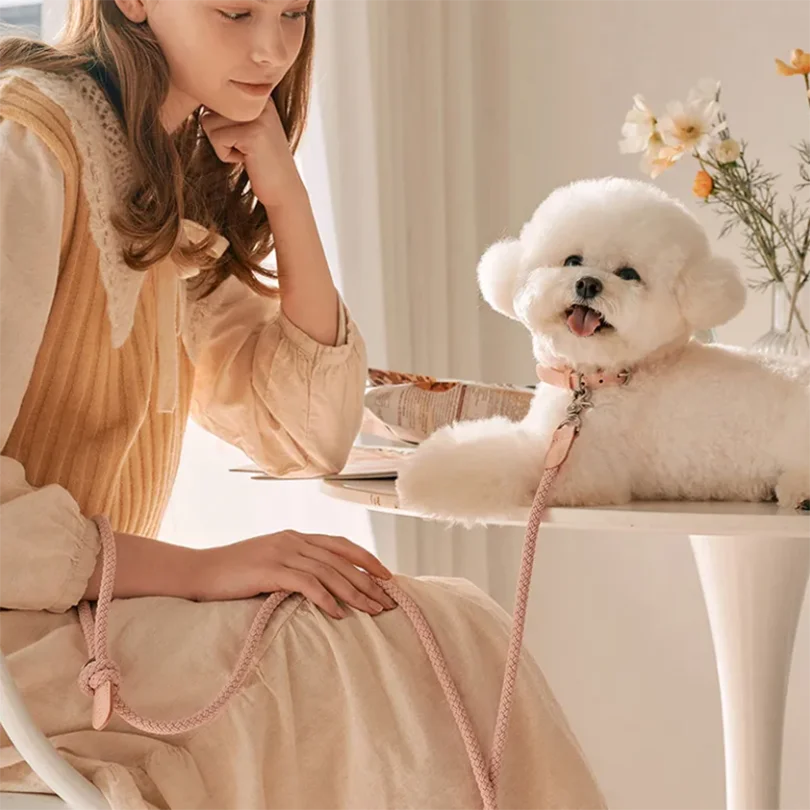 Geflochtenes Hundehalsband &amp; Leinen Set aus Leder – Stilvolles Premium Set para Bichon Frisé y pequeños perros