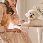 Geflochtenes Hundehalsband &amp; Leinen Set aus Leder – Stilvolles Premium Set para Bichon Frisé y pequeños perros