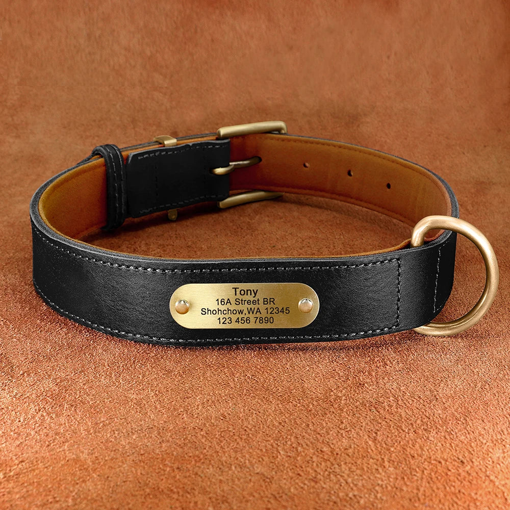 Personalisierbares Leder-Hundehalsband & Leine – Robust, Komfortabel und Individuell Graviert