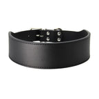 Robustes Lederhalsband für große Hunde – Strapazierfähiges Mikrofaser-Leder mit Polsterung & Schnellverschluss