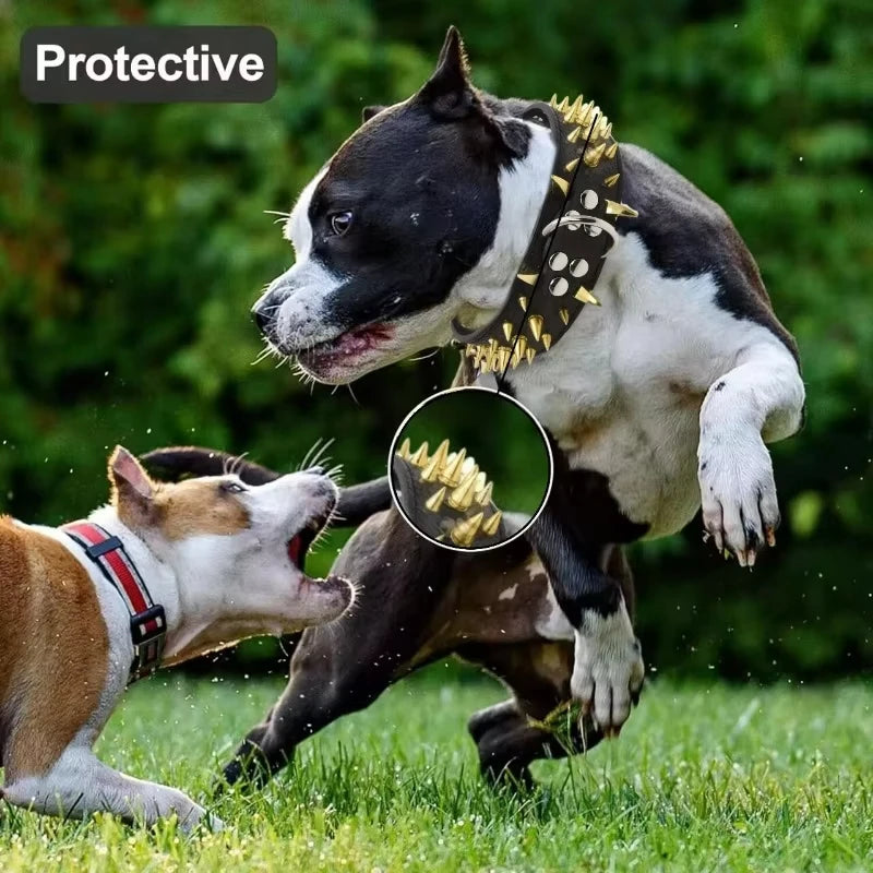 Spikes Hunde-Halsband & Leinen-Set aus Leder – Nieten-Halsband mit Polsterung, verstellbar & robust für Outdoor-Spaziergänge