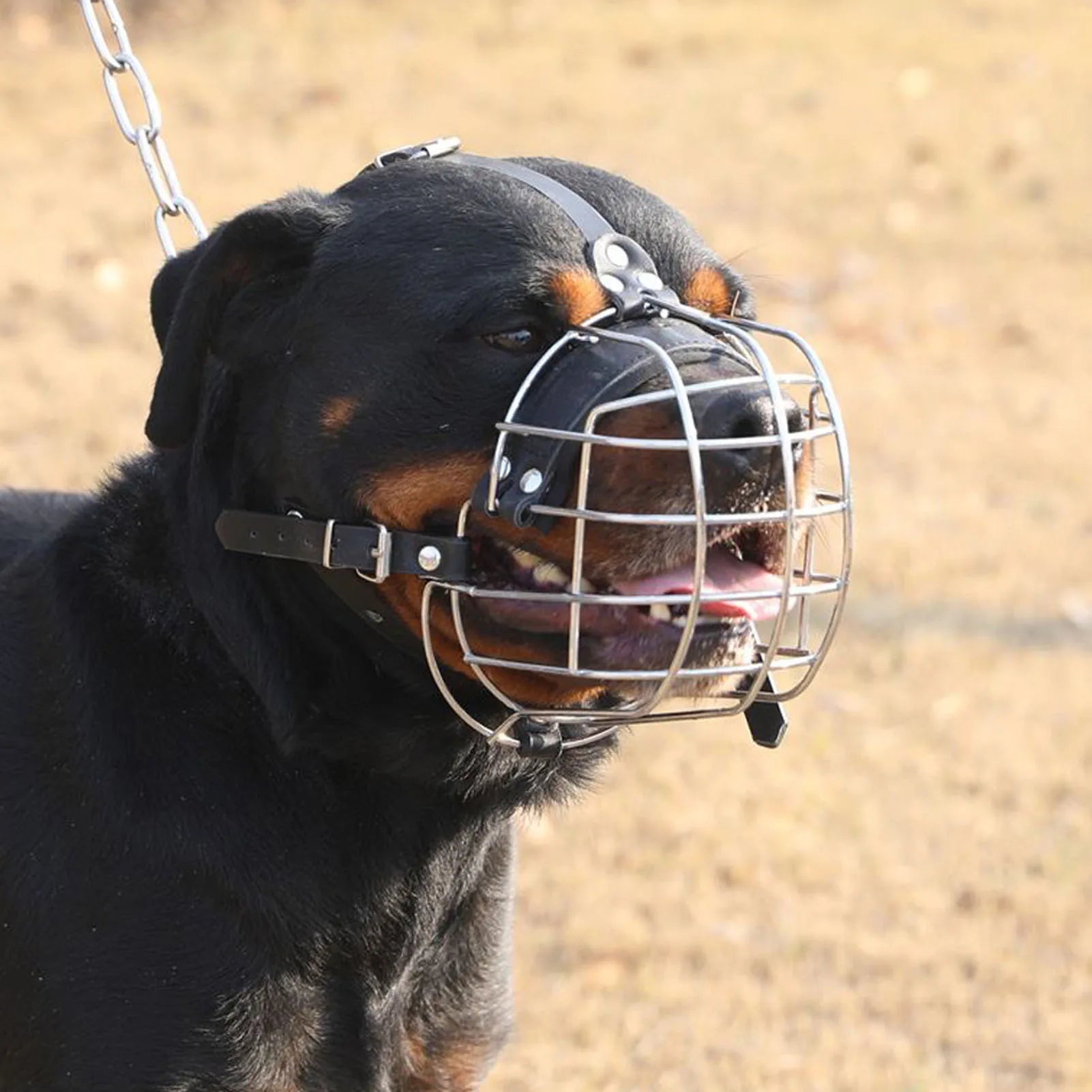 Robuster Drahtkorb-Hundemaulkorb mit PU-Leder-Riemen – Atmungsaktiver, sicherer Trainings-Maulkorb für mittelgroße & große Hunde
