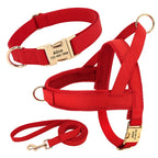 Personalisierbares Leder Hundehalsband, Geschirr & Leine Set – Gepolstertes Mesh Hundegeschirr mit Namensgravur für kleine, mittlere & große Hunde