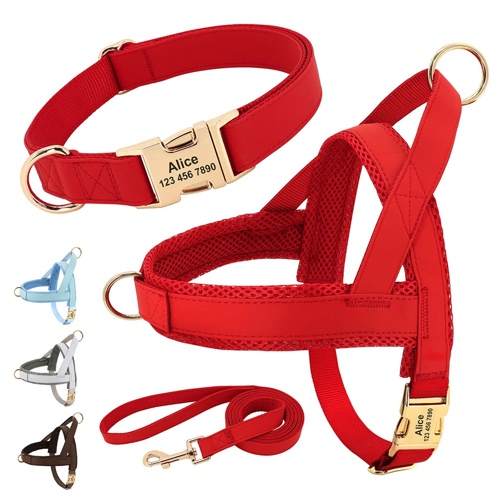 Personalisierbares Leder Hundehalsband, Geschirr & Leine Set – Gepolstertes Mesh Hundegeschirr mit Namensgravur für kleine, mittlere & große Hunde