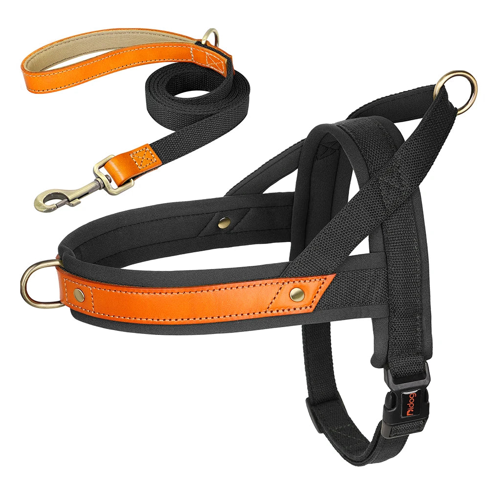No-Pull Hunde-Geschirr Set aus Nylon & PU-Leder – Gepolstertes Harness mit Halsband & Leine für kleine, mittlere & große Hunde
