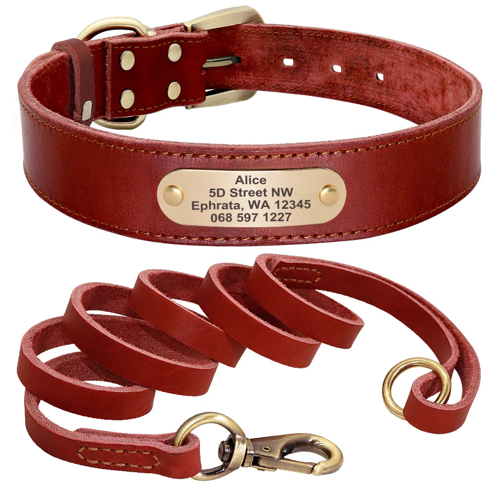 Personalisiertes Leder-Hundehalsband-Set mit Leine – Gravur inklusive für kleine, mittelgroße und große Hunde