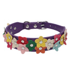 Blumen Hunde- & Katzenhalsband aus PU-Leder – Leichtes, verstellbares Flower Pet Collar für Welpen, kleine & mittelgroße Hunde