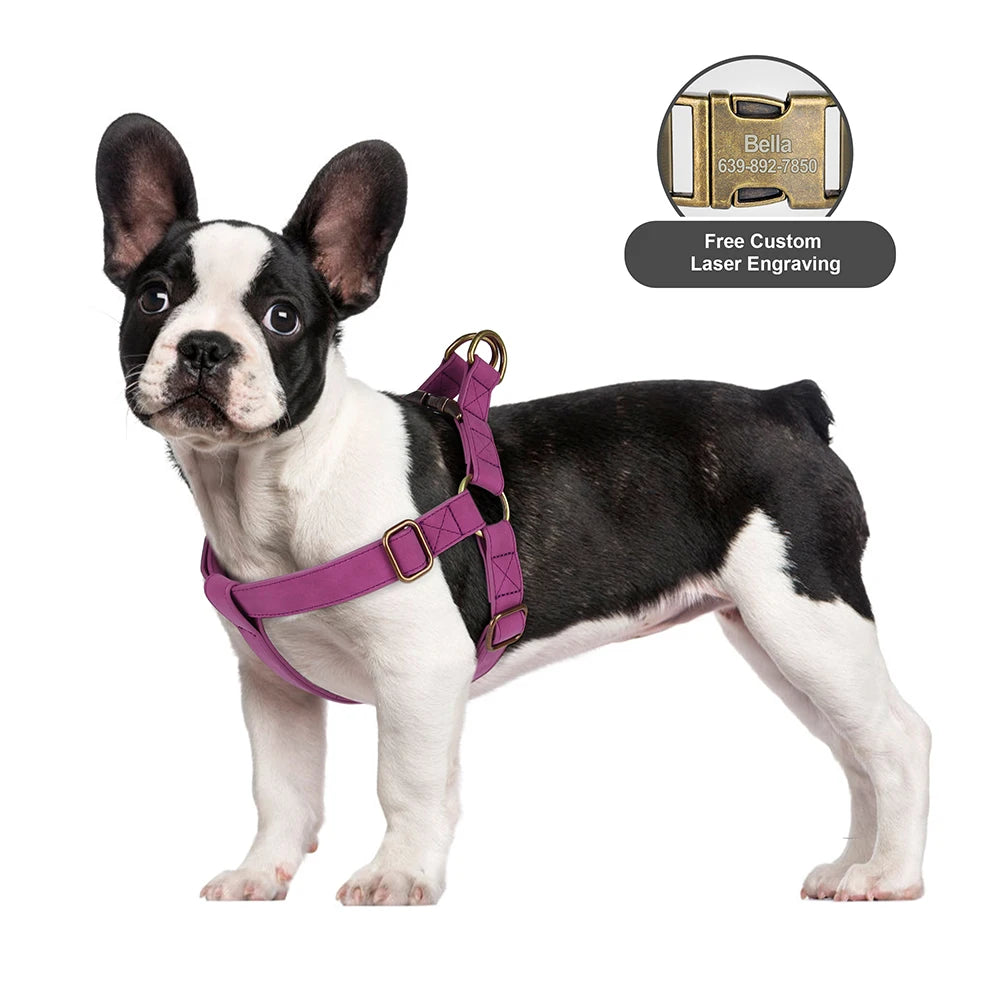 Personalisiertes PU Leder Hundegeschirr mit Namensgravur – Robustes Dog Vest Geschirr mit Schnallenverschluss für kleine, mittlere & große Hunde