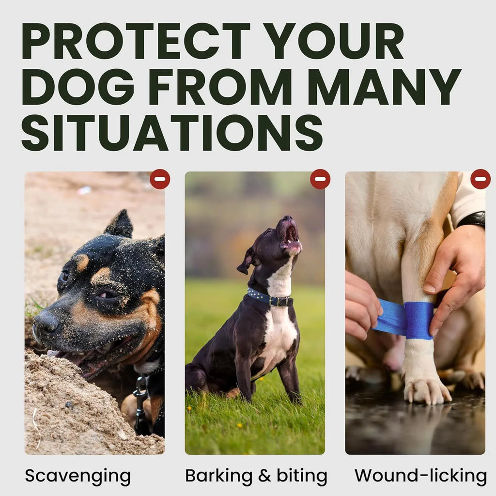 Robuster Drahtkorb-Hundemaulkorb mit PU-Leder-Riemen – Atmungsaktiver, sicherer Trainings-Maulkorb für mittelgroße & große Hunde