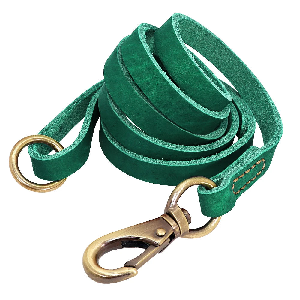 Personalisiertes Leder-Hundehalsband-Set mit Leine – Gravur inklusive für kleine, mittelgroße und große Hunde