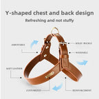 Wasserdichtes Leder Hundegeschirr mit Leine – Verstellbares Brustgeschirr-Set mit Schnellverschluss für kleine &amp; mittelgroße Hunde