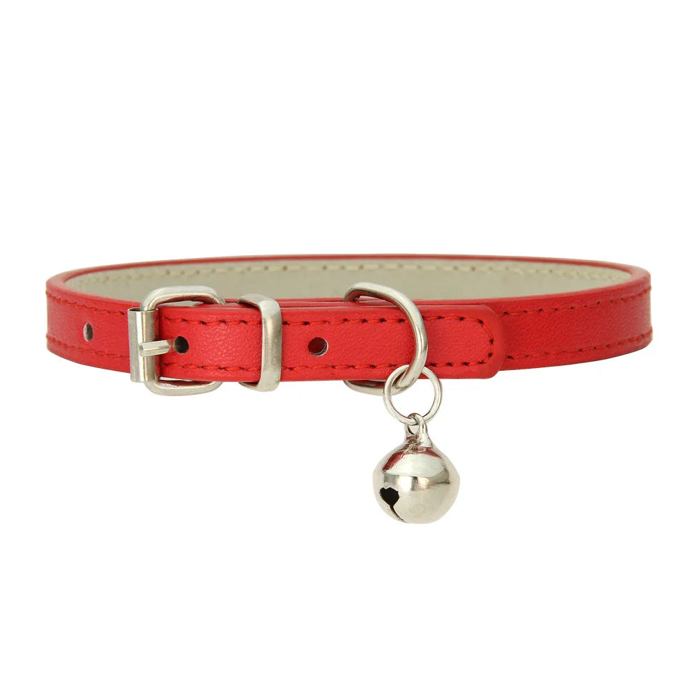 PU Leder Hundehalsband mit Glöckchen – Leichtes, farbenfrohes Halsband für Hunde & Katzen (Chihuahua, Welpen & Katzen)